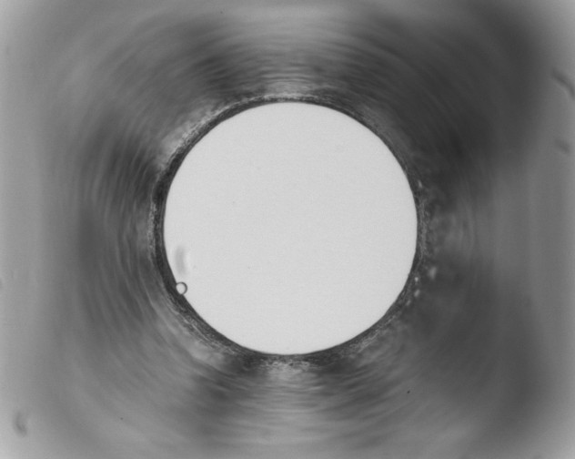 X0000103940346200810171820