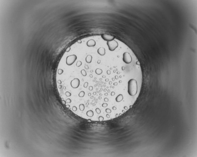 X0000103940347200810171820