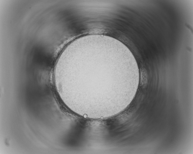 X0000103940348200810171820