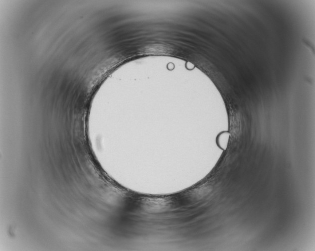 X0000103940349200810171820