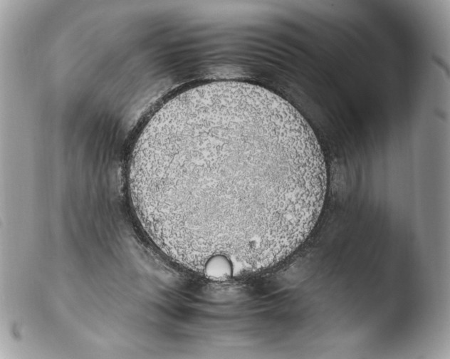 X0000103940351200810171820