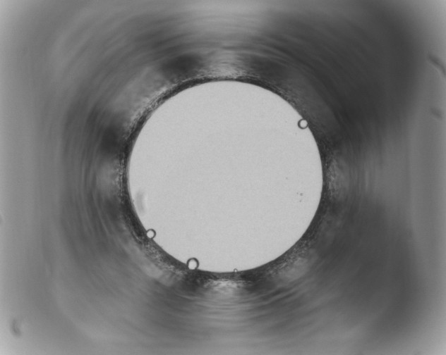 X0000103940352200810171820