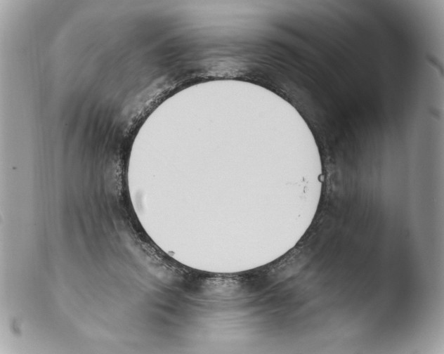 X0000103940354200810171820