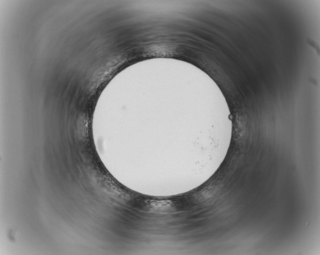 X0000103940355200810171820