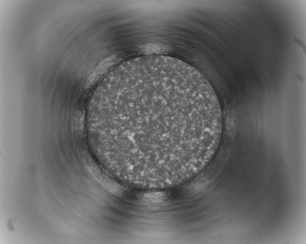 X0000103940357200810171820