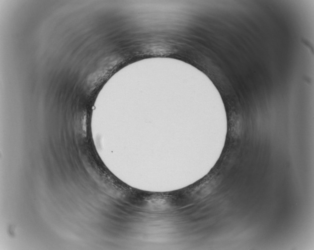 X0000103940358200810171820