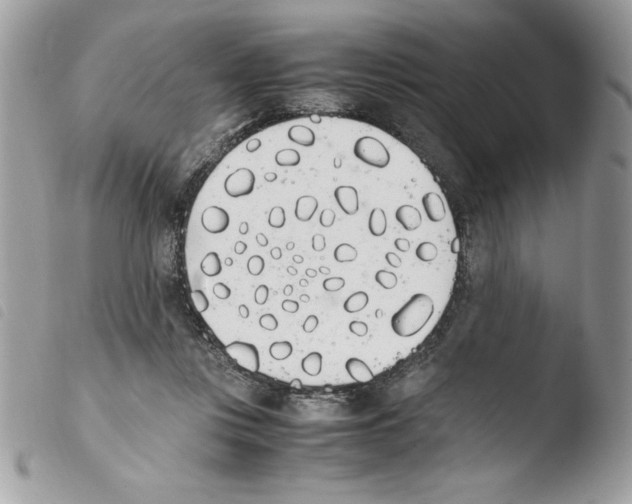 X0000103940359200810171820