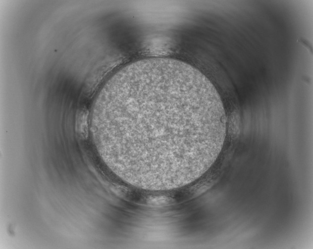 X0000103940360200810171820