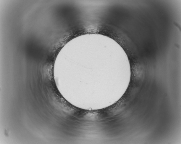 X0000103940364200810171820