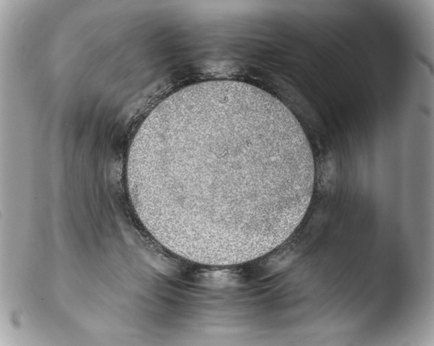 X0000103940365200810171820