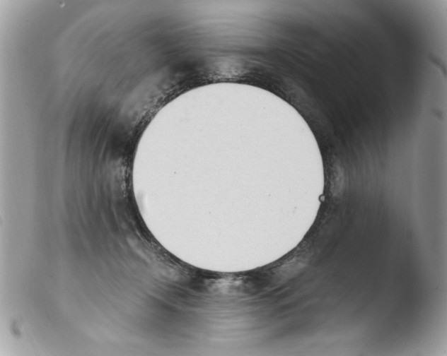 X0000103940366200810171820