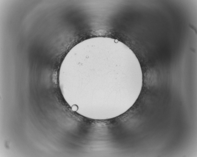 X0000103940368200810171820