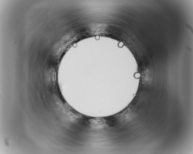 X0000103940372200810171820