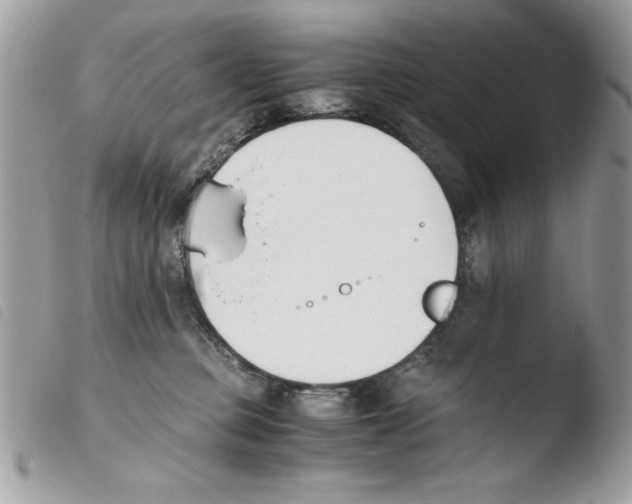 X0000103940373200810171820