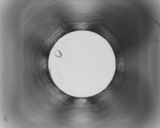 X0000103940374200810171820