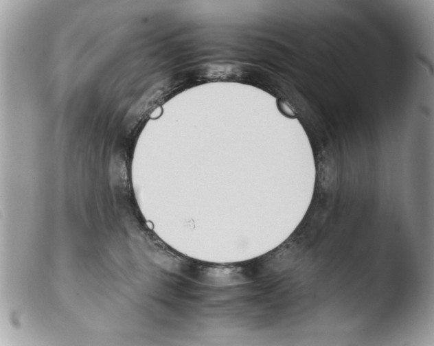 X0000103940375200810171820