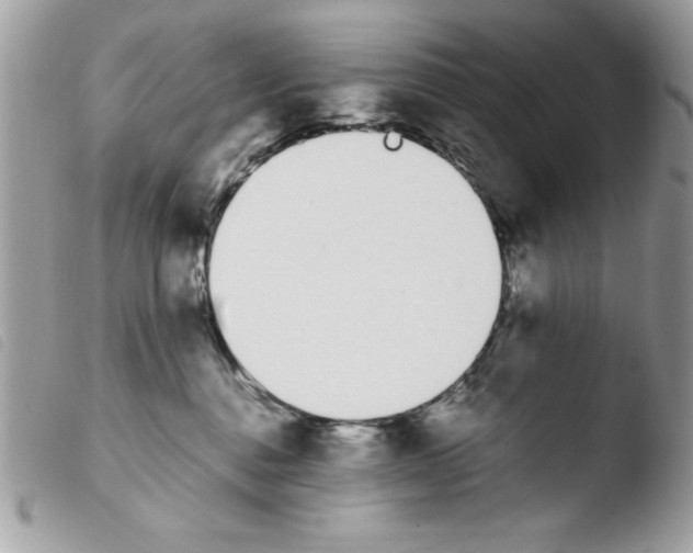 X0000103940376200810171820