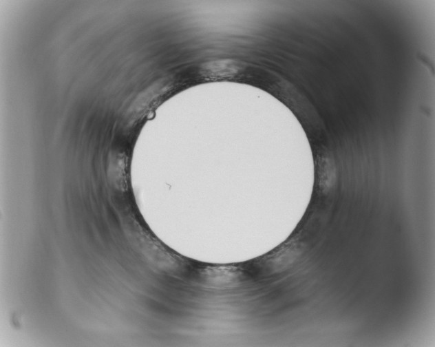 X0000103940378200810171820