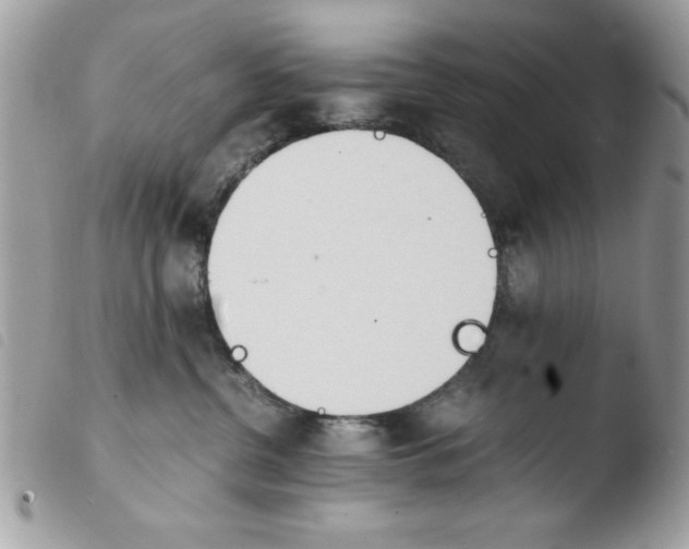 X0000103940380200810171820