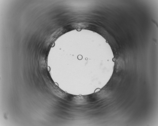 X0000103940381200810171821