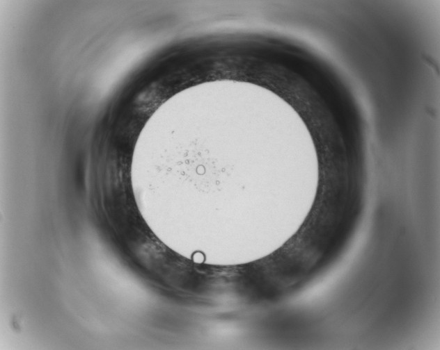 X0000103940382200810171821