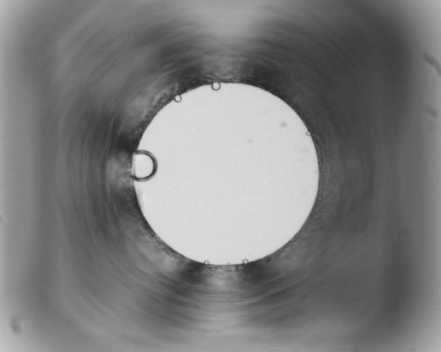 X0000103940384200810171821