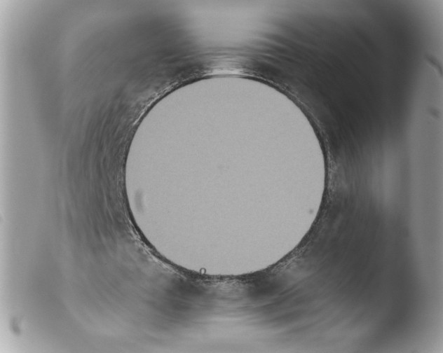 X0000103940385200810171820