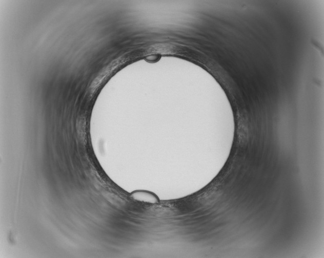 X0000103940386200810171820