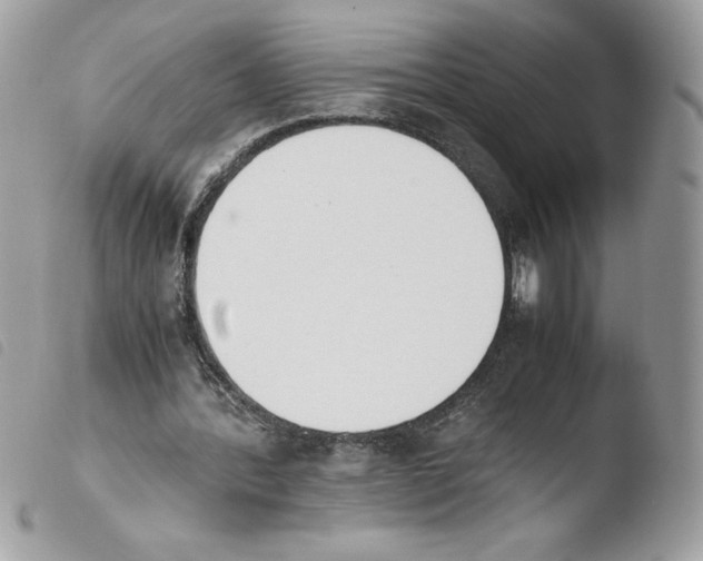 X0000103940388200810171820