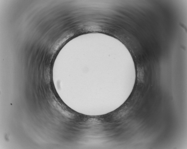 X0000103940390200810171820