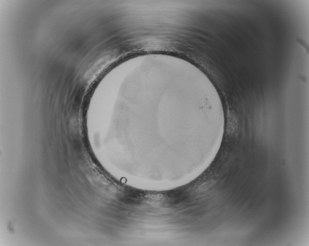 X0000103940391200810171820