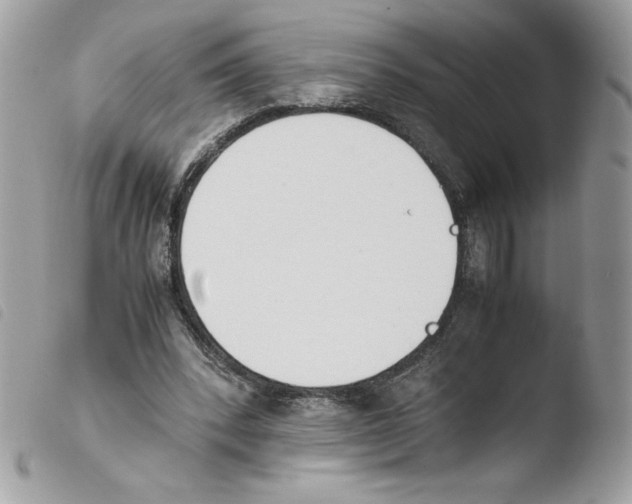 X0000103940392200810171820