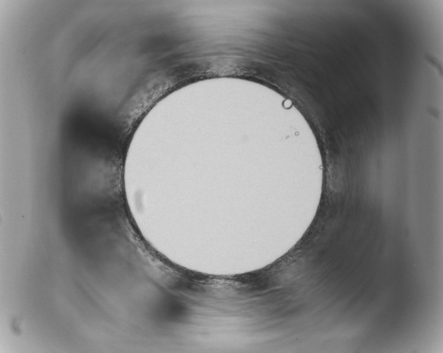 X0000103940393200810171820