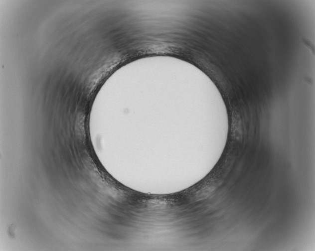 X0000103940394200810171820