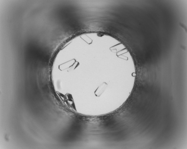 X0000103940395200810171820