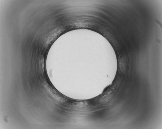 X0000103940398200810171820