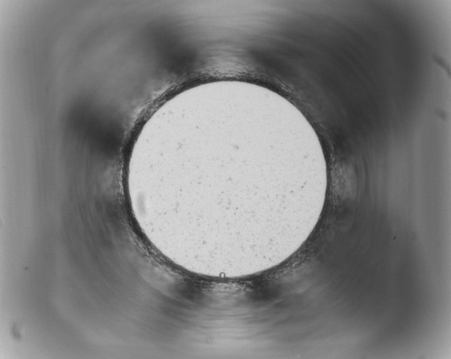 X0000103940399200810171820