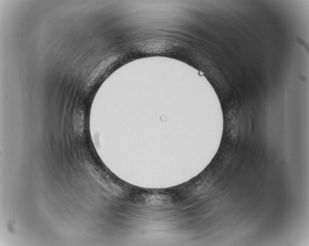 X0000103940400200810171820