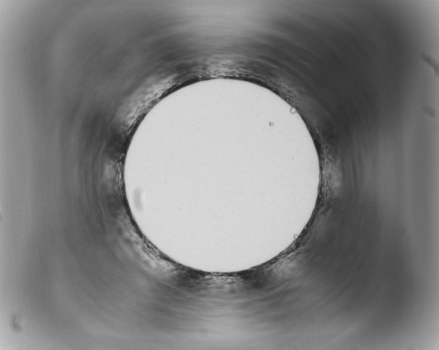 X0000103940401200810171820