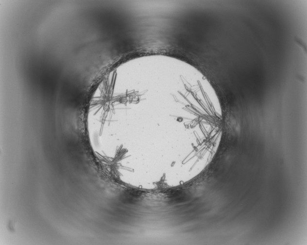 X0000103940403200810171820