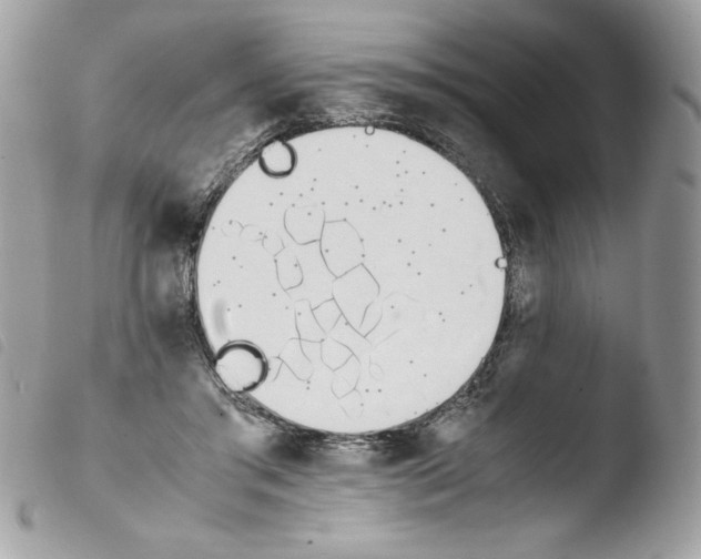 X0000103940405200810171820