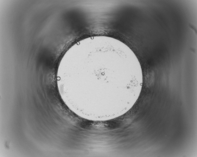 X0000103940407200810171820