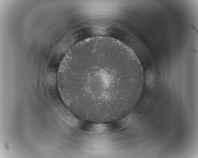 X0000103940409200810171820