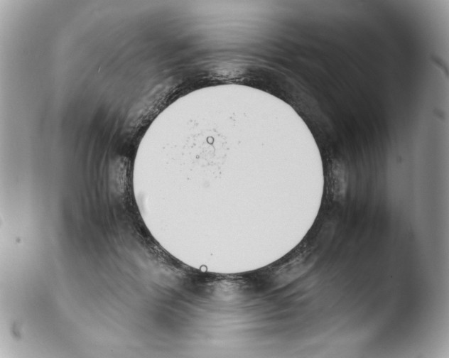 X0000103940412200810171820