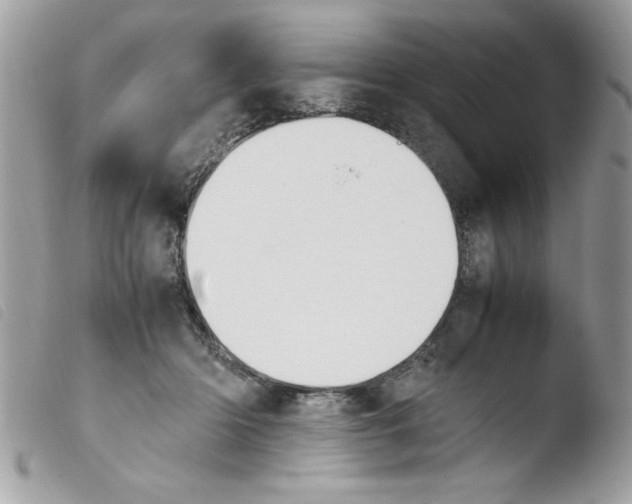 X0000103940414200810171819