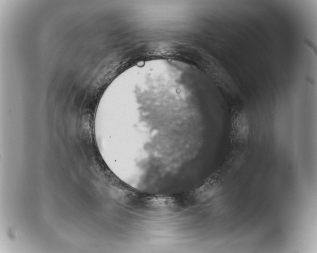 X0000103940415200810171819