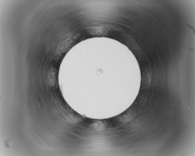 X0000103940416200810171819