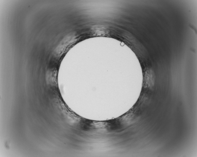 X0000103940417200810171819