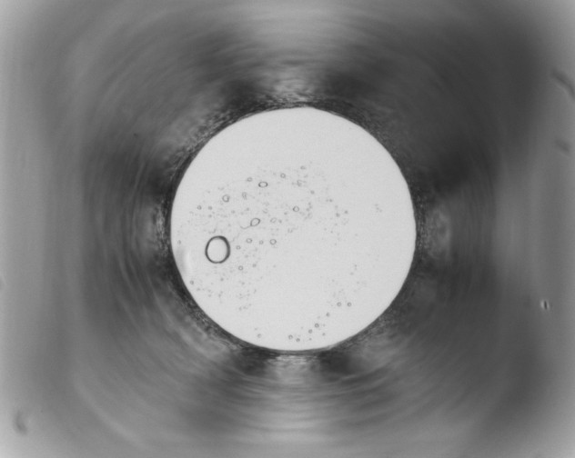 X0000103940418200810171819