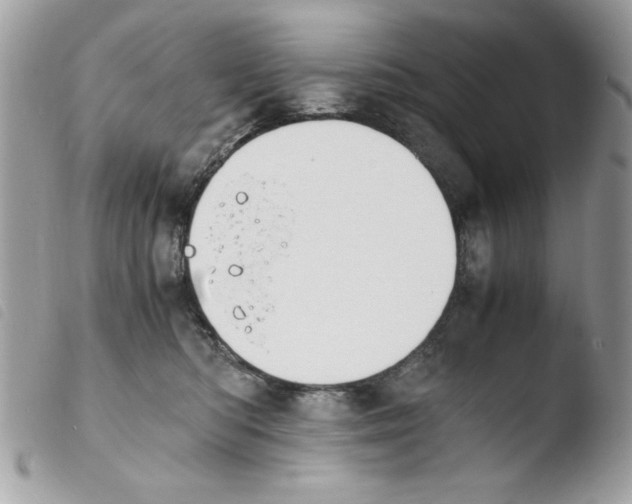 X0000103940422200810171819